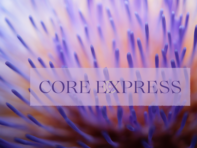 CORE EXPRESS ~